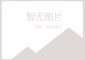 邙山区涟漪会计有限公司